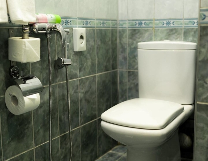 Стандарт 2-мест. 1-к.корп.Колос - Парк-отель «Русский» (бывш. «Дракино»)