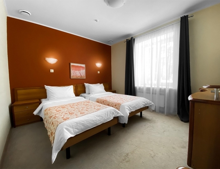 Стандарт 2-местный с диваном - Парк-отель «Русский» (бывш. «Дракино»)